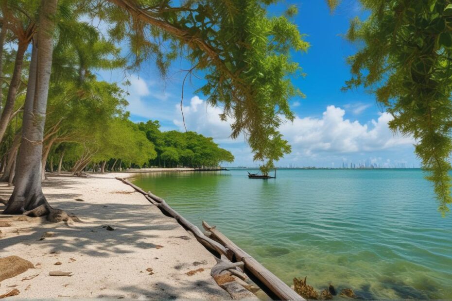 How to Visit Biscayne National Park: The Best Tours and Essential Tips for Visiting